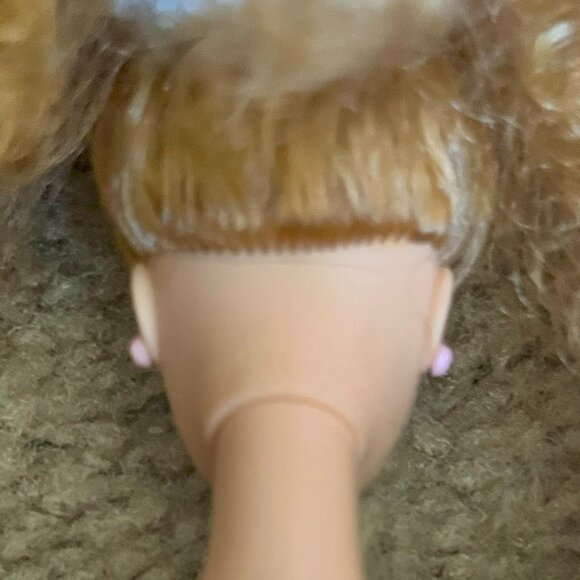 Barbie 5 Dolls, 2 Heads, Earrings, Necklace, Micro of America Horse - Picture 8 of 14